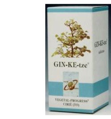 GINKETZE 80TAV 600MG VGP