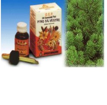 PINO SILVESTRE OLIO 10ML SPECCH