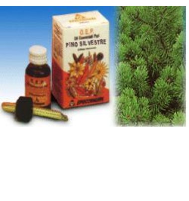 PINO SILVESTRE OLIO 10ML SPECCH