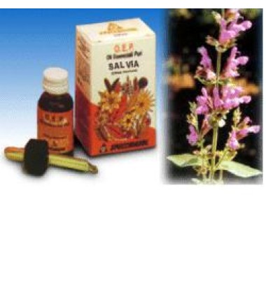 SALVIA OLIO ESS 10ML SPECCH