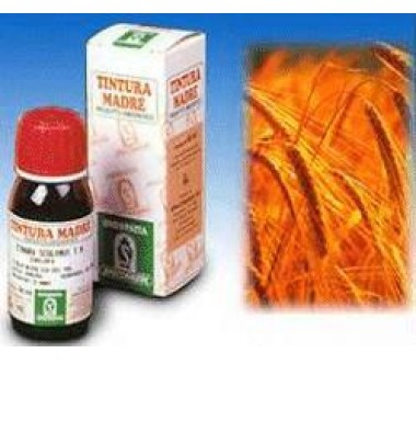 AVENA SATIVA 3 50ML TM