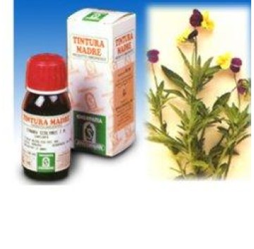 SP.VIOLA TRICOLOR TM 50ml