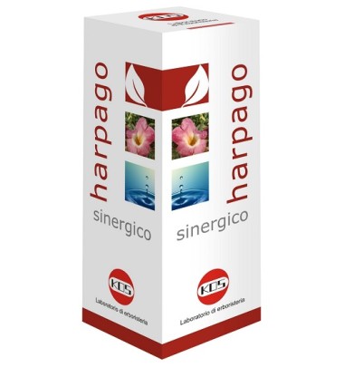 HARPAGO SINERGICO GTT 100ML