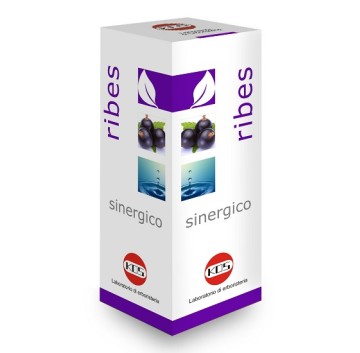 RIBES SINERGICO GTT 100ML KOS