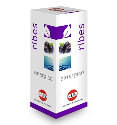 RIBES SINERGICO GTT 100ML KOS