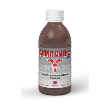 CARNITON-B12 PET 80CPR 80G