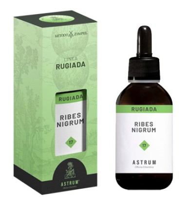 RIBES NERO 50ML (RUG.DI PIANTA