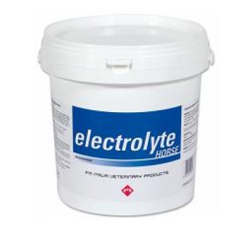 ELECTROLYTE HORSE OS 3KG