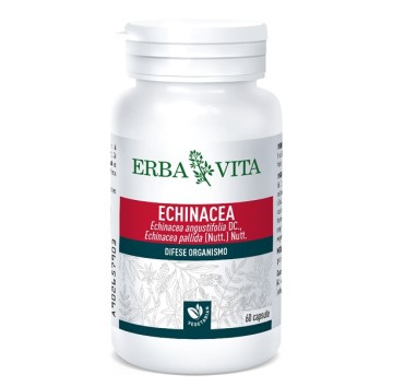 ECHINACEA 60CPS 500MG EBV