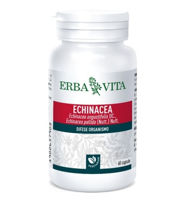 ECHINACEA 60CPS 500MG EBV