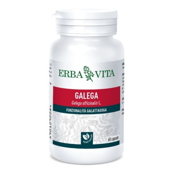 GALEGA 60CPS 350MG ERBAVITA