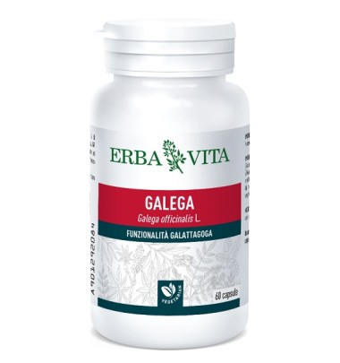 GALEGA 60CPS 350MG ERBAVITA