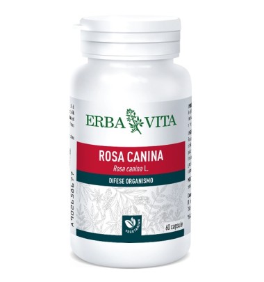 ROSA CANINA 60CPS 400MG EBV