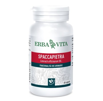 SPACCAPIETRA 60CPS 350MG EBV