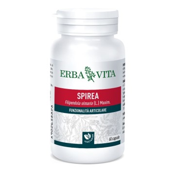 SPIREA ULMARIA 60CPS 350MG  EBV