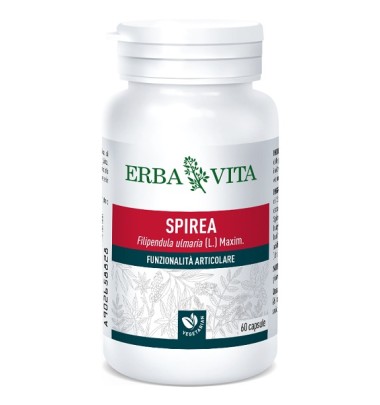 SPIREA ULMARIA 60CPS 350MG  EBV