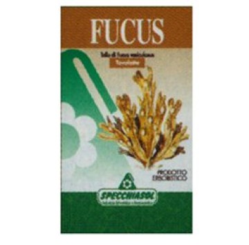 FUCUS ERBE 150TAV SPECCH