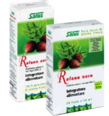 RAFANO NE SUCCO S/ALC 200ML