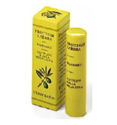 PROTEGGILABBRA BALSAMO 4,5ML