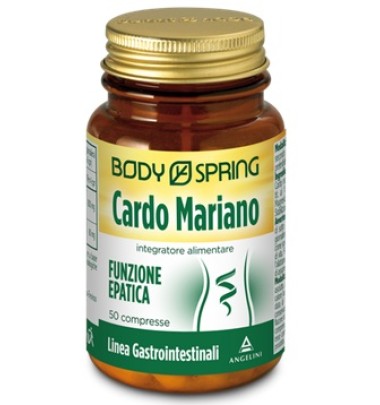 BS CARDO MARIANO 50TAV 25G BSP