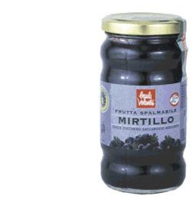 FRUTTA SPALMAB MIRTILLO 280G