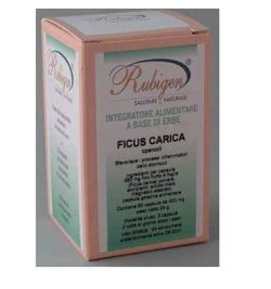 FICUS CARICA 60CPS