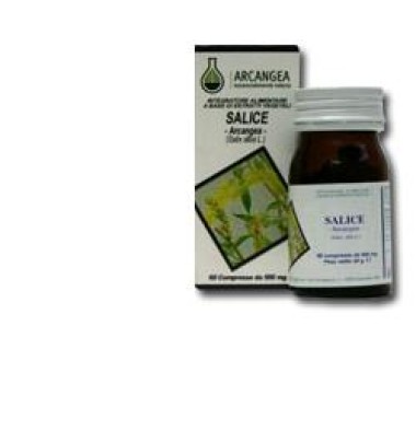 SALICE 60CPS 500MG ARCANGEA