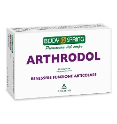 BS ARTHRODOL 60CPR BSP