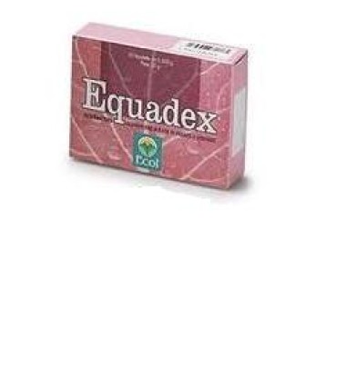 EQUADEX 50 TAV