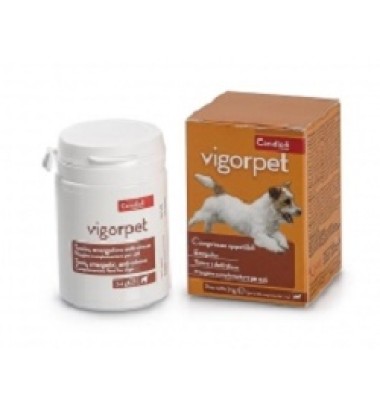 VIGORPET CANI 20 CPR VET