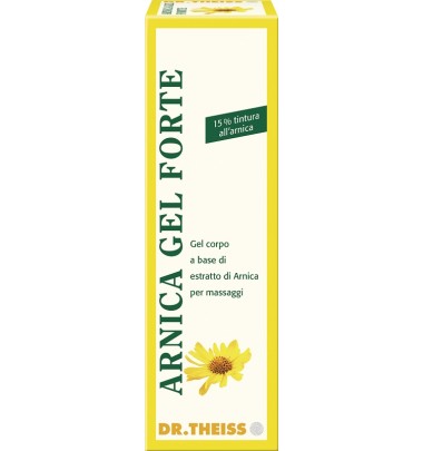 ARNICA GEL FTE 100 DR.THEISS