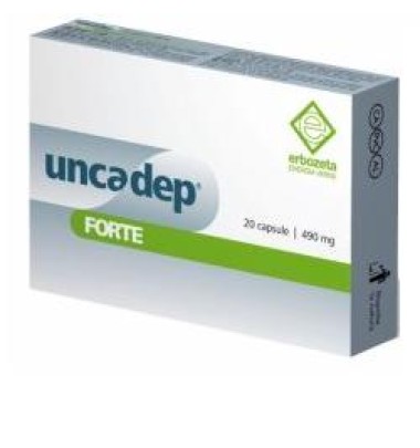 UNCADEP FTE 20CPS