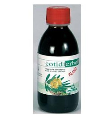 COTIDIERBE-FLUID 170 ML