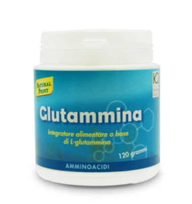 GLUTAMMINA POLV 120G NAT/POINT