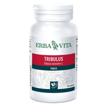 TRIBULUS TER 60CPS 500MG EBV