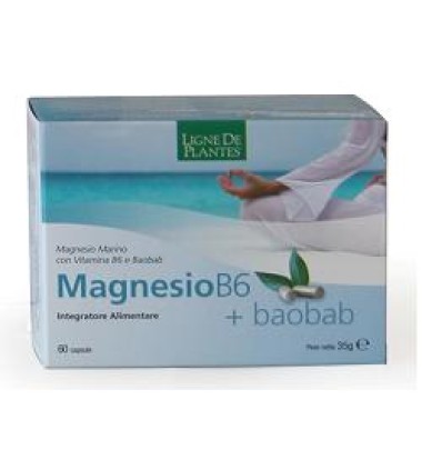 MAGNESIO B6+BAOBAB 60CPS SERVIC