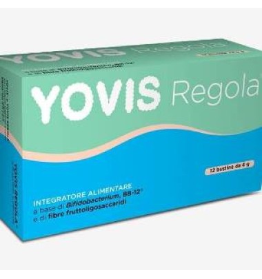 Yovis Regola 12bust