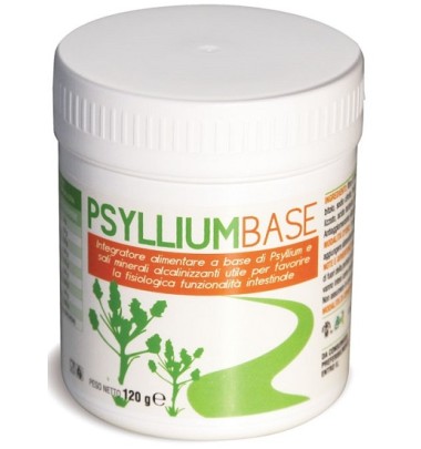 PSYLLIUM BASE POLVERE 120G