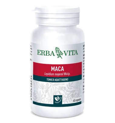 MACA 60CPS 400MG   EBV