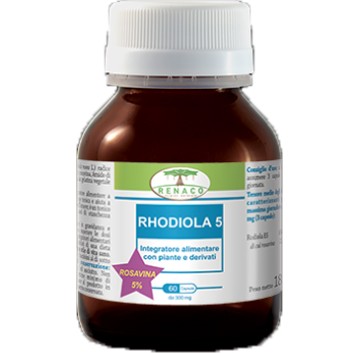 RHODIOLA 5 60CPS