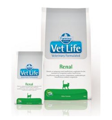 VET LIFE CAT RENAL 400 GR