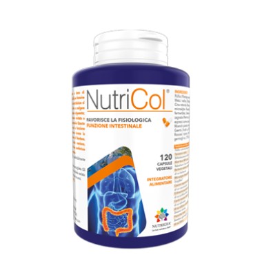 NUTRICOL  120CPS NUTRIGEA