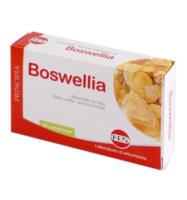 BOSWELLIA ES.SEC 60CPR 24G KOS