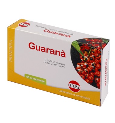 GUARANA E.S. 60CPR 300MG KOS