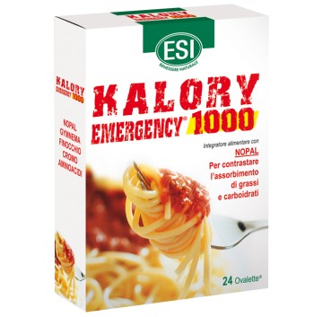 KALORY EMERGENCY 1000 24OV ESI