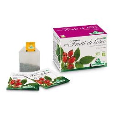 INFUSO BIO FR/BOSC 20FILT SPECCH