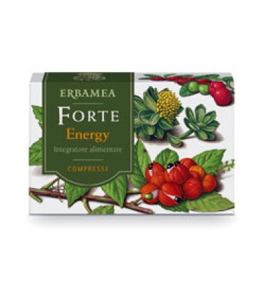 FORTE ENERGY 24CPR