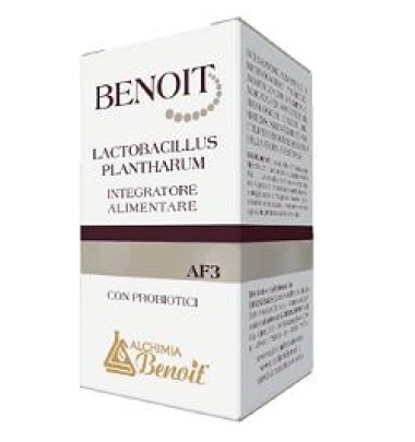 BENOIT AF3 LACTOBACILLUS PLANTHA