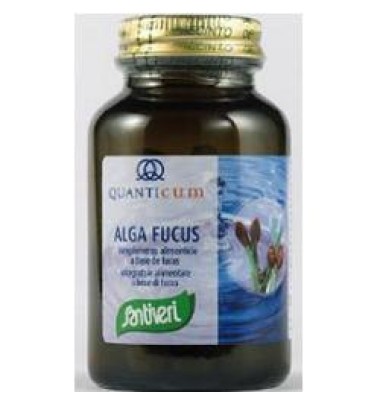 ALGA FUCUS 113CPR SANTIVERI