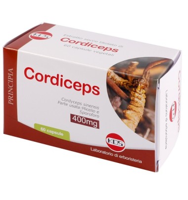 CORDICEPS ESTR SECCO 60CPS KOS